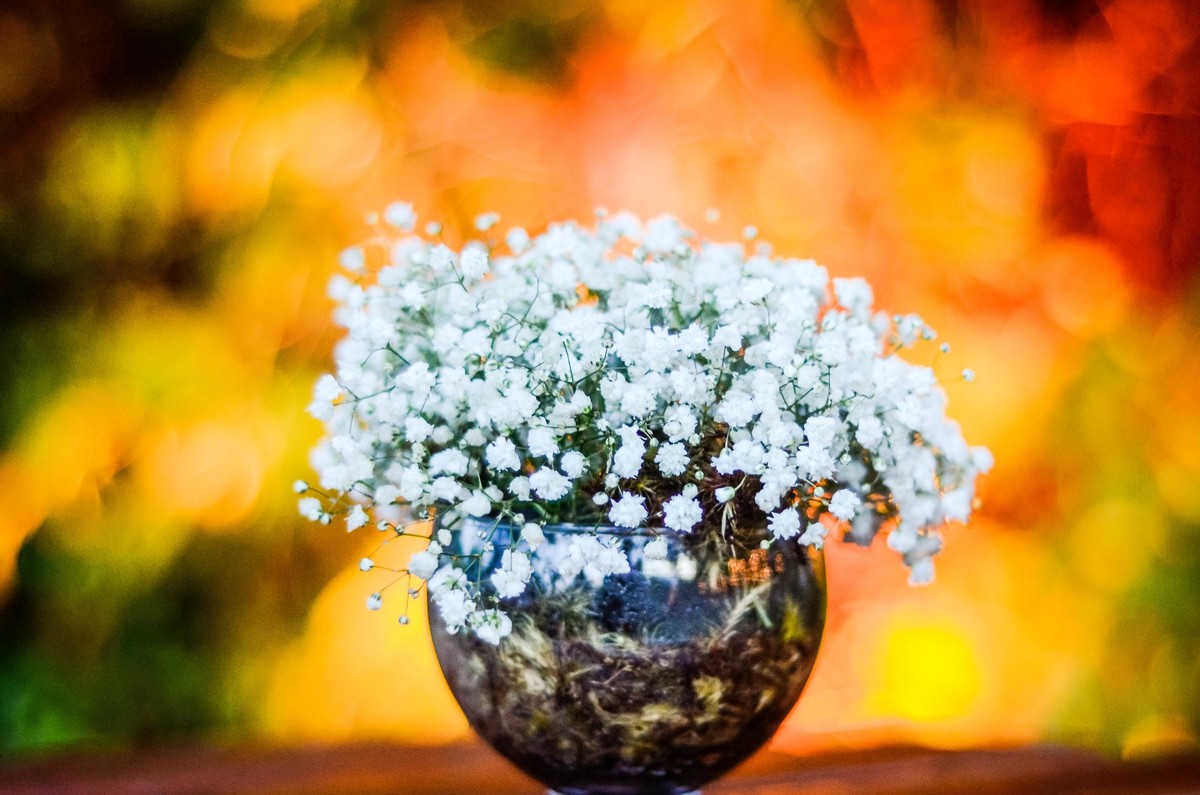 Casamento Layane e Gabriel, xodozinho retratos, Fotografia de casamento em Palmas, Casamento em palmas, casamento com chuva, casamento xodozinho retratos, casamento com ruiva, Casamento Stroligo