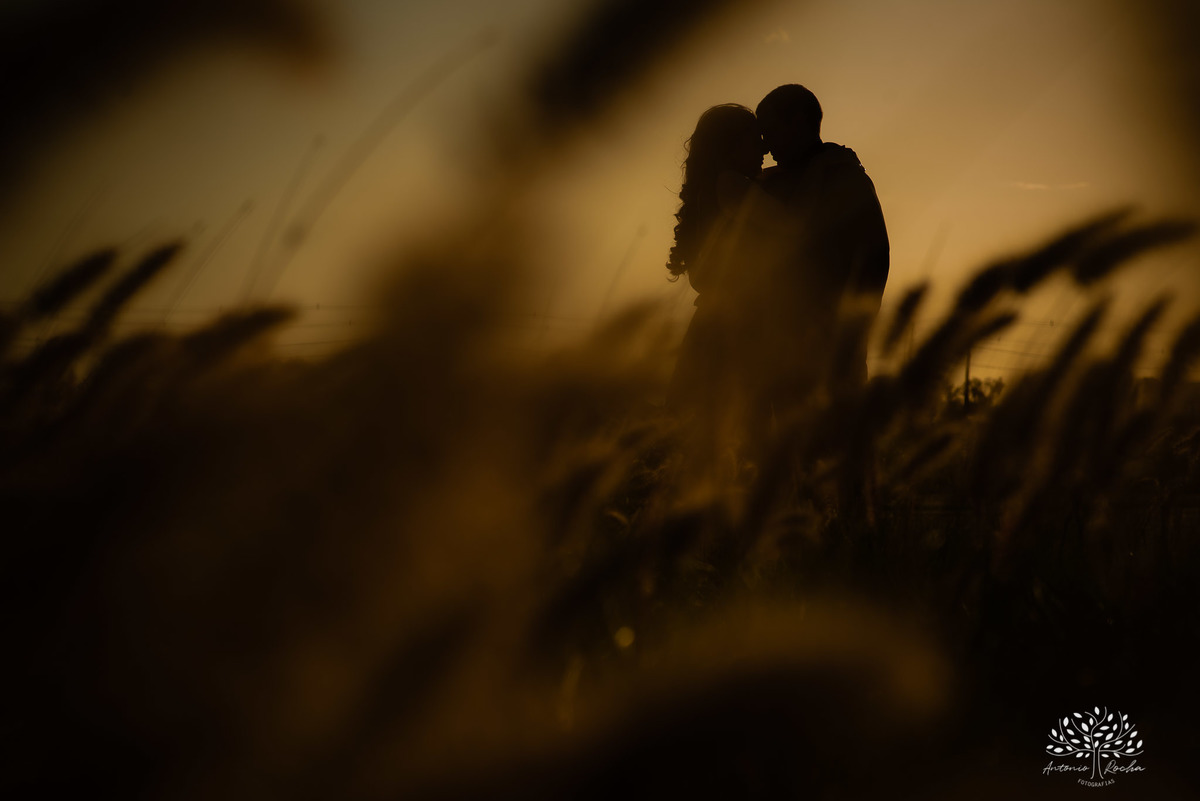 Danay e Endrigo - Casamento - Ensaio ao Ar Livre - Parque Una - Cuba - Brasil - Amor Verdadeiro - Moto - Pelotas - RS - Antonio Rocha Fotografias - @antoniorochafotografias