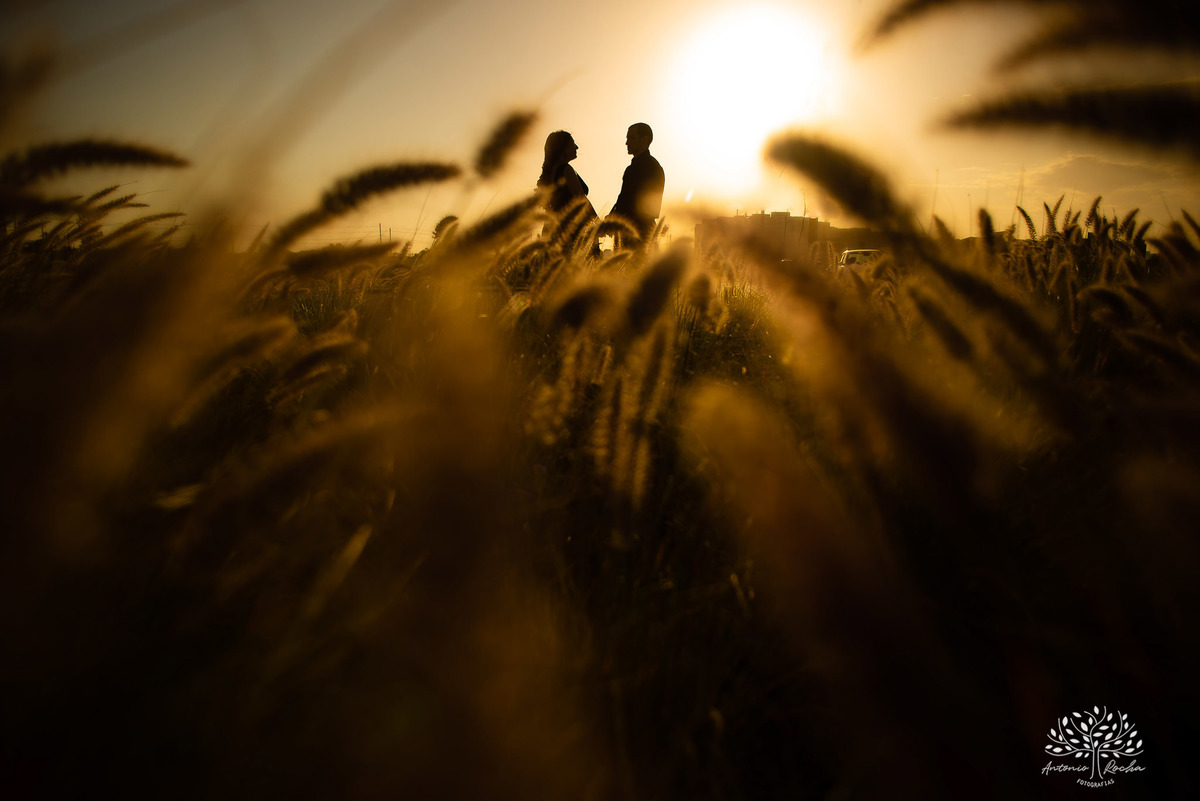 Danay e Endrigo - Casamento - Ensaio ao Ar Livre - Parque Una - Cuba - Brasil - Amor Verdadeiro - Moto - Pelotas - RS - Antonio Rocha Fotografias - @antoniorochafotografias