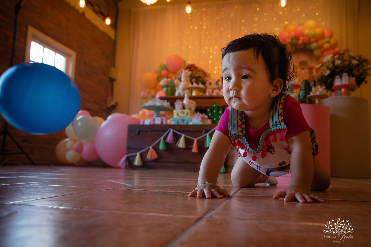 Maitê - Primeiro Aninho - 1 ano - Manuela - Murilo - Felicidade - Quinta Dom Manuel Festa Lhama- Festa Infantil - Hora de Soprar a Velinha - Parabéns - Pelotas - RS - Antonio Rocha - @antoniorochafotografias