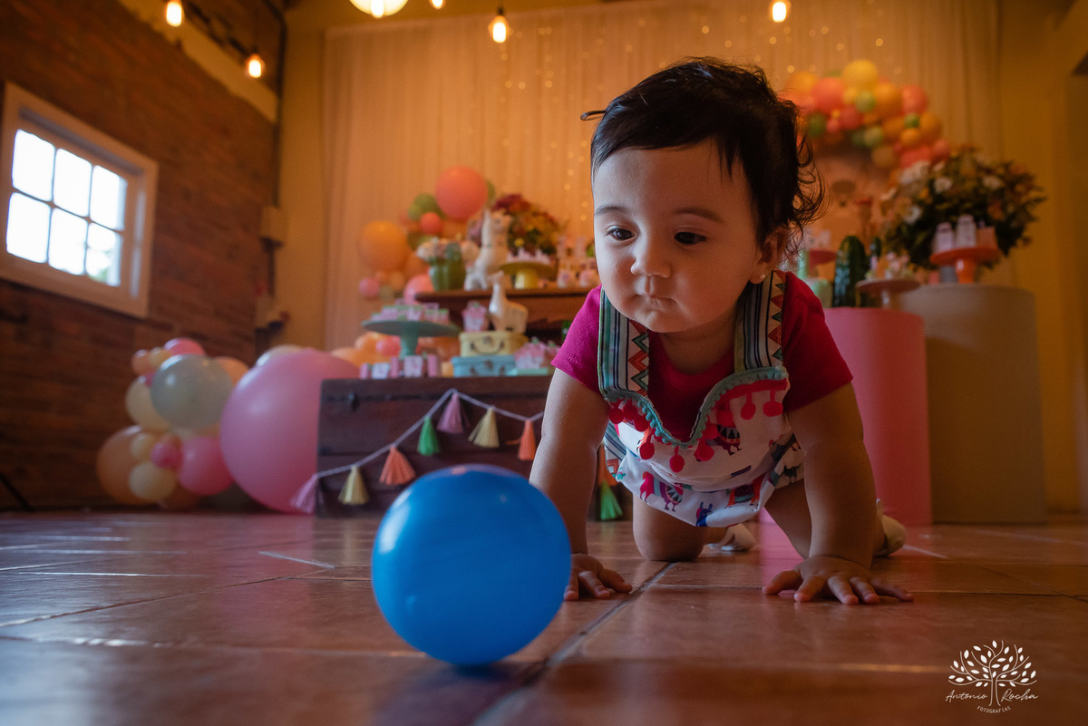 Maitê - Primeiro Aninho - 1 ano - Manuela - Murilo - Felicidade - Quinta Dom Manuel Festa Lhama- Festa Infantil - Hora de Soprar a Velinha - Parabéns - Pelotas - RS - Antonio Rocha - @antoniorochafotografias