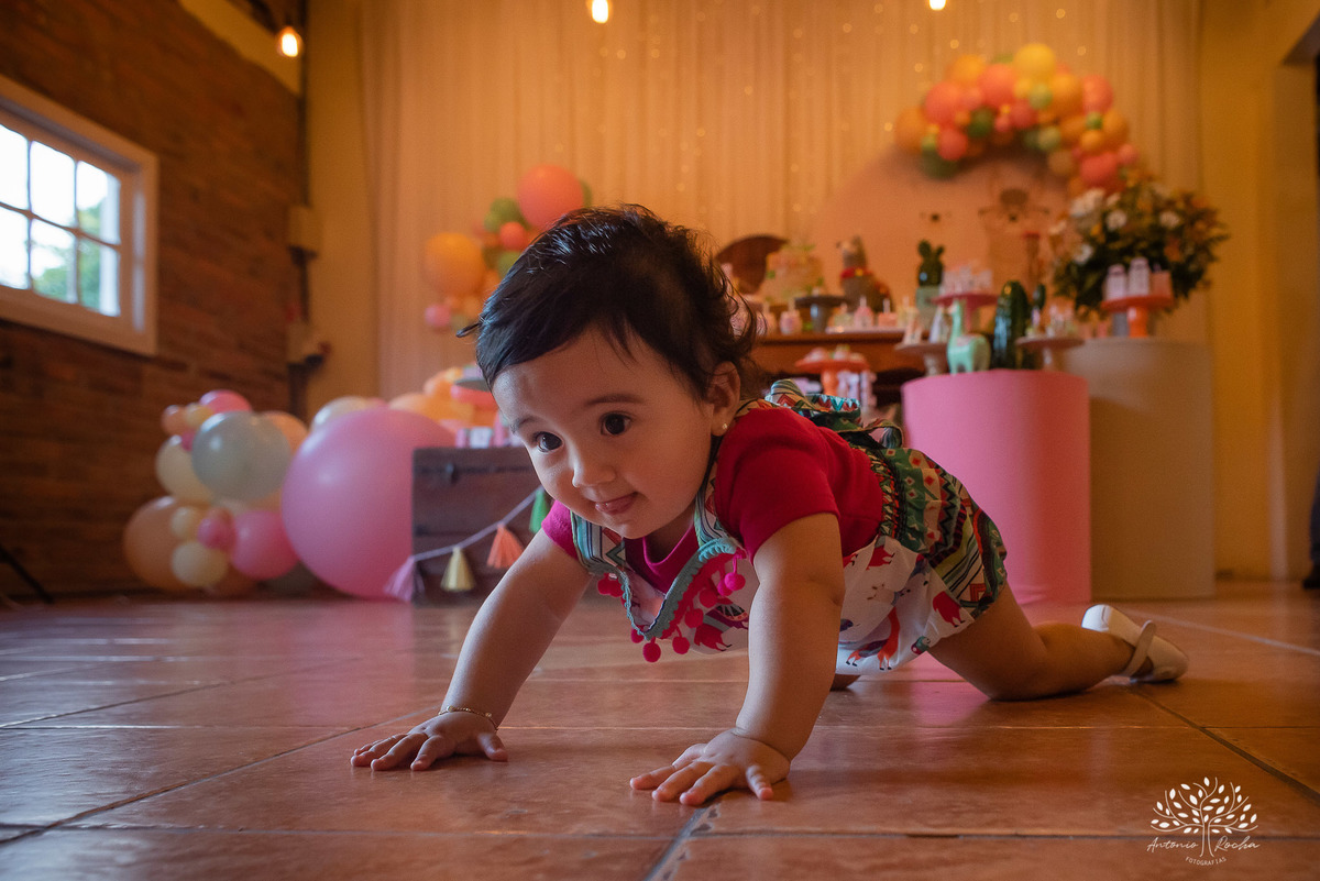 Maitê - Primeiro Aninho - 1 ano - Manuela - Murilo - Felicidade - Quinta Dom Manuel Festa Lhama- Festa Infantil - Hora de Soprar a Velinha - Parabéns - Pelotas - RS - Antonio Rocha - @antoniorochafotografias