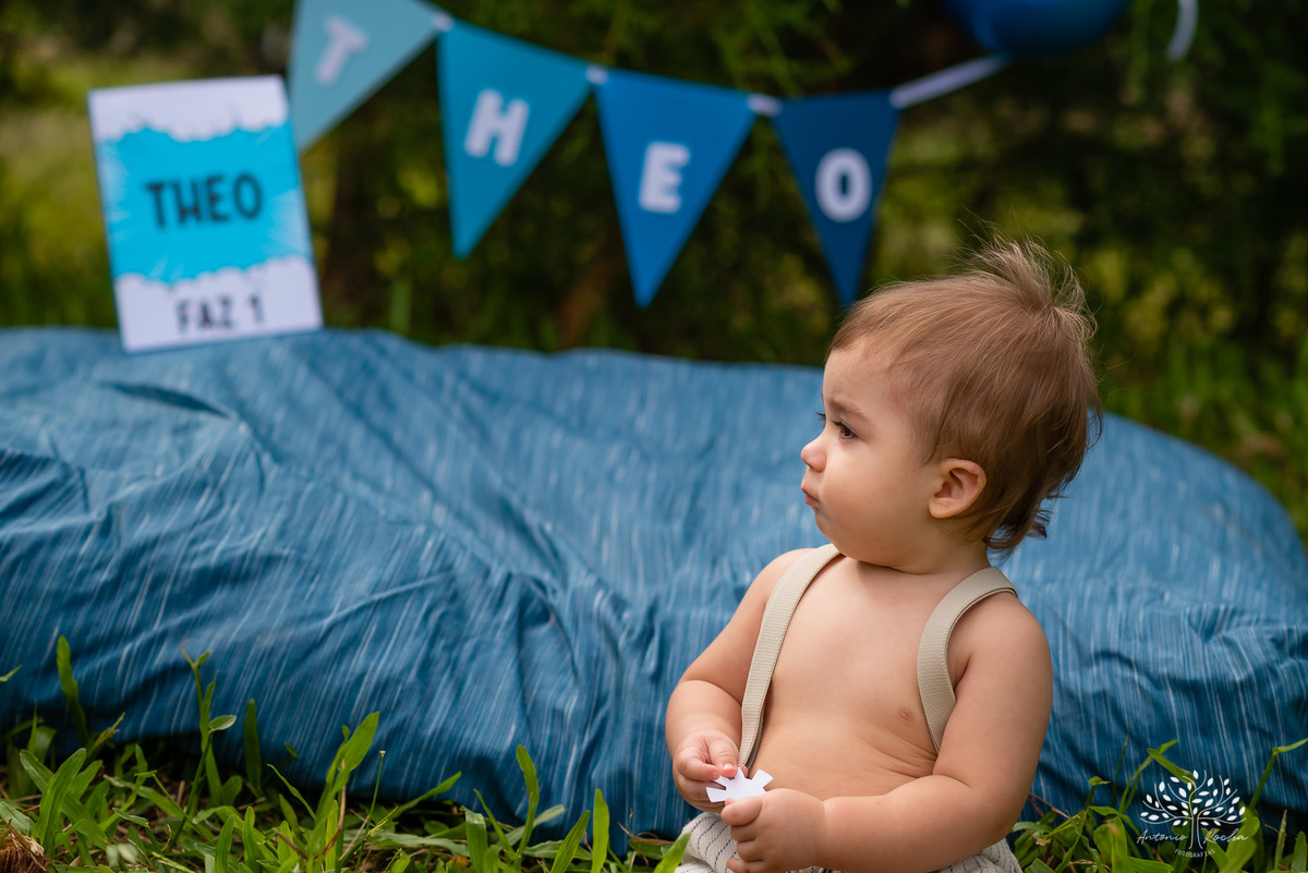 Theo – Smash The Cake – Ensaio Lindo – Ensaio Família – Parque Stone Land – Diversão – Amor – Família – Vida – Felicidade – Aprendizado – Bolo Azul – Smurph – Fotografia de Família – Ensaio – Juntos – Quarteto – Infantil – Antonio Rocha Fotografias