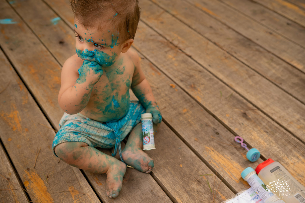 Theo – Smash The Cake – Ensaio Lindo – Ensaio Família – Parque Stone Land – Diversão – Amor – Família – Vida – Felicidade – Aprendizado – Bolo Azul – Smurph – Fotografia de Família – Ensaio – Juntos – Quarteto – Infantil – Antonio Rocha Fotografias