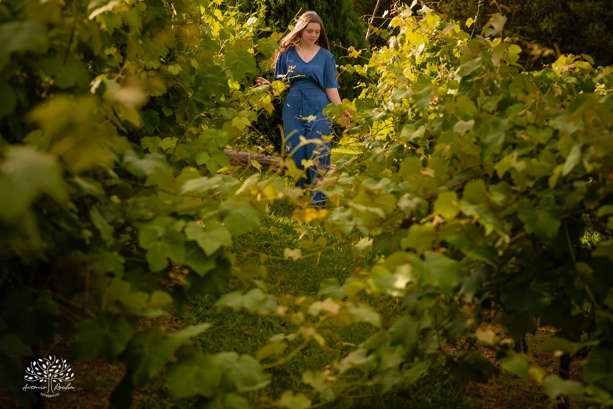 Júlia – Júlia 15 Anos – Ensaio – Ensaio Debutante – Chácara da Família Fiss – Debutante – Campo – Felicidade – Foto Premiada – Livro – Fotografia de Família – Debutante – Pôr do Sol – Vestido – Dourado – Antonio Rocha Fotografias – Pelotas – Linda – Sarda