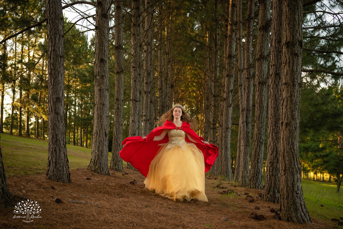 Júlia – Júlia 15 Anos – Ensaio – Ensaio Debutante – Chácara da Família Fiss – Debutante – Campo – Felicidade – Foto Premiada – Livro – Fotografia de Família – Debutante – Pôr do Sol – Vestido – Dourado – Antonio Rocha Fotografias – Pelotas – Linda – Sarda