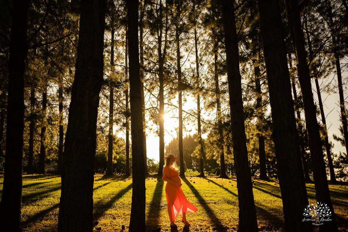 Natália – Tiago – Bento – Chácara da Família Fiss – Tarde de Sol – Campo – Gestante – Grávida – Ensaio Gestante – Felicidade – Amor – Menino – Vida – Dança – Pelotas – Campo – Natália + Tiago = Bento – Antonio Rocha Fotografias – Família Linda – Movimento