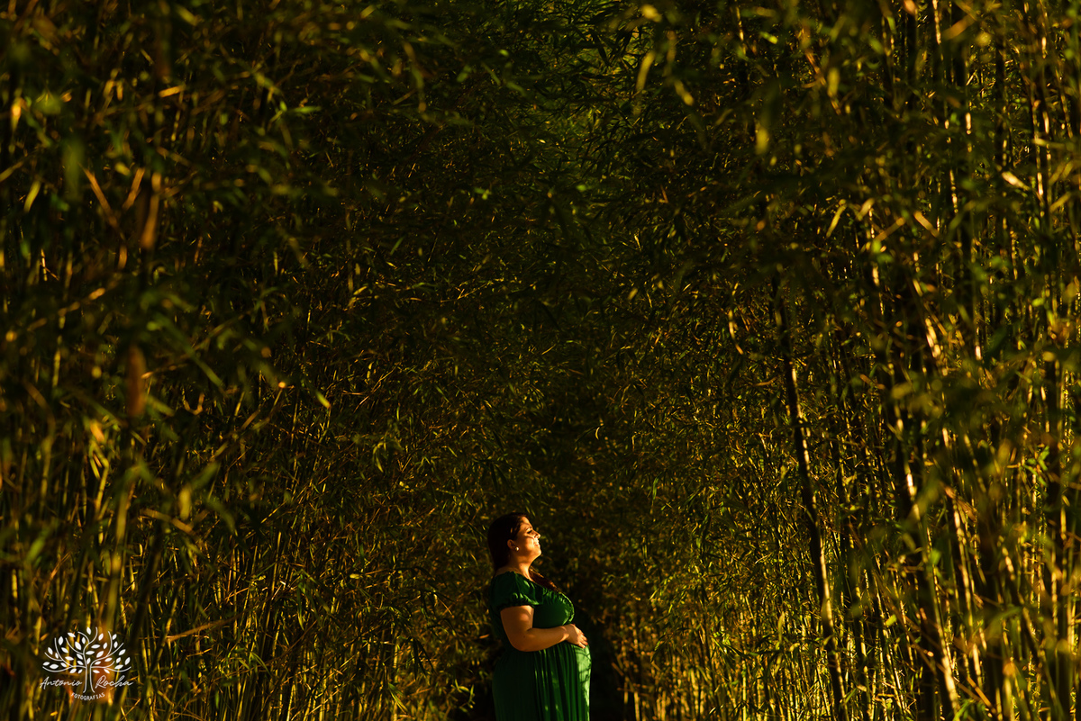 Fernanda – Robson – Joaquim – Caetano – Vinícola Nardello – Tarde de Sol – Campo – Gestante – Grávida – Ensaio Gestante – Felicidade – Amor – Menino – Vida – Pelotas – Quarteto – Fernanda + Robson = Joaquim e Caetano – Antonio Rocha Fotografias – Família 