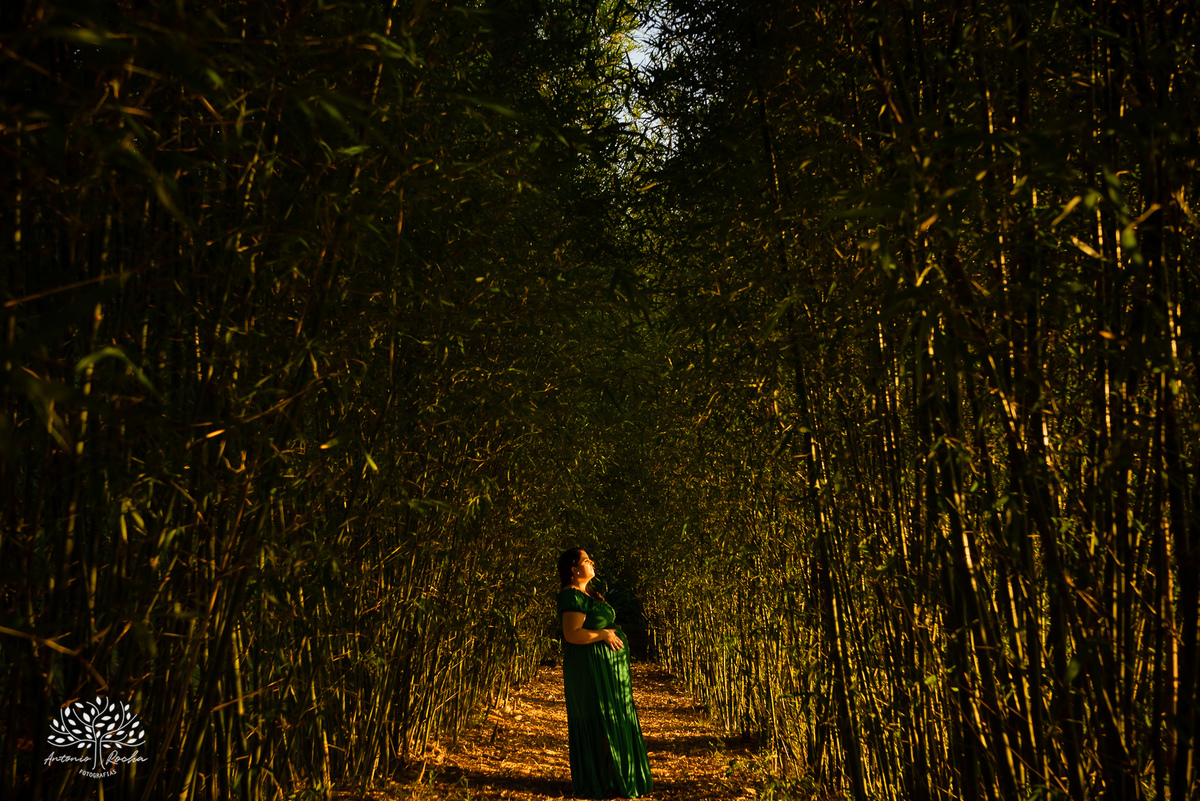 Fernanda – Robson – Joaquim – Caetano – Vinícola Nardello – Tarde de Sol – Campo – Gestante – Grávida – Ensaio Gestante – Felicidade – Amor – Menino – Vida – Pelotas – Quarteto – Fernanda + Robson = Joaquim e Caetano – Antonio Rocha Fotografias – Família 