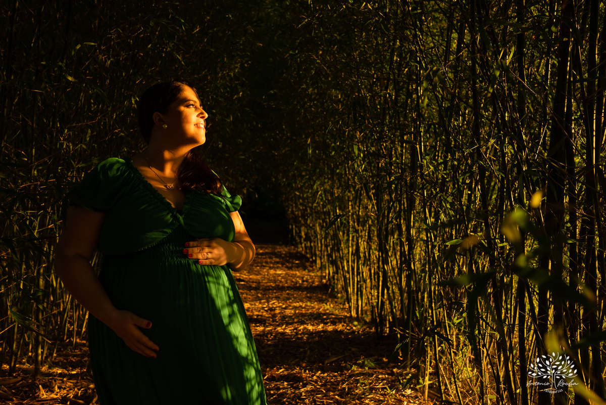 Fernanda – Robson – Joaquim – Caetano – Vinícola Nardello – Tarde de Sol – Campo – Gestante – Grávida – Ensaio Gestante – Felicidade – Amor – Menino – Vida – Pelotas – Quarteto – Fernanda + Robson = Joaquim e Caetano – Antonio Rocha Fotografias – Família 