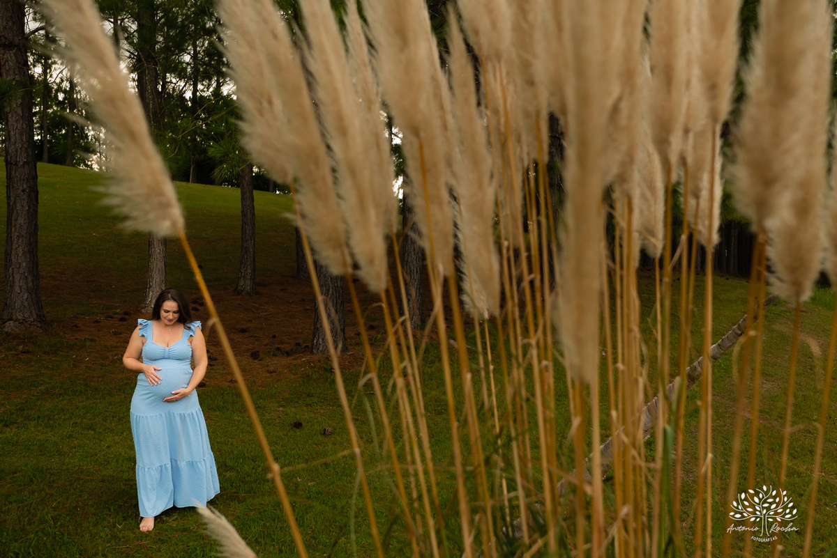 Fabiane – Lucas – Théo – Chácara da Família Fiss – Tarde de Sol – Campo – Gestante – Grávida – Ensaio Gestante – Felicidade – Amor – Menino – Vida – Pelotas – Fabiane + Lucas = Théo – Antonio Rocha Fotografias – Família Linda – Arroio do Padre – Pelotas