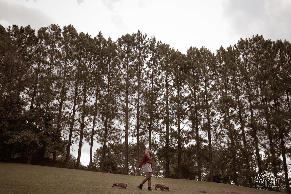 Milena – Milena 15 Anos – Ensaio – Ensaio Debutante – Chácara Família Fiss – Debutante – Campo – Felicidade – Foto Premiada – Loira – Fotografia de Família – Debutante – Pôr do Sol – Exigente – Dourado – Antonio Rocha Fotografias – Pelotas – Linda – Dogs 