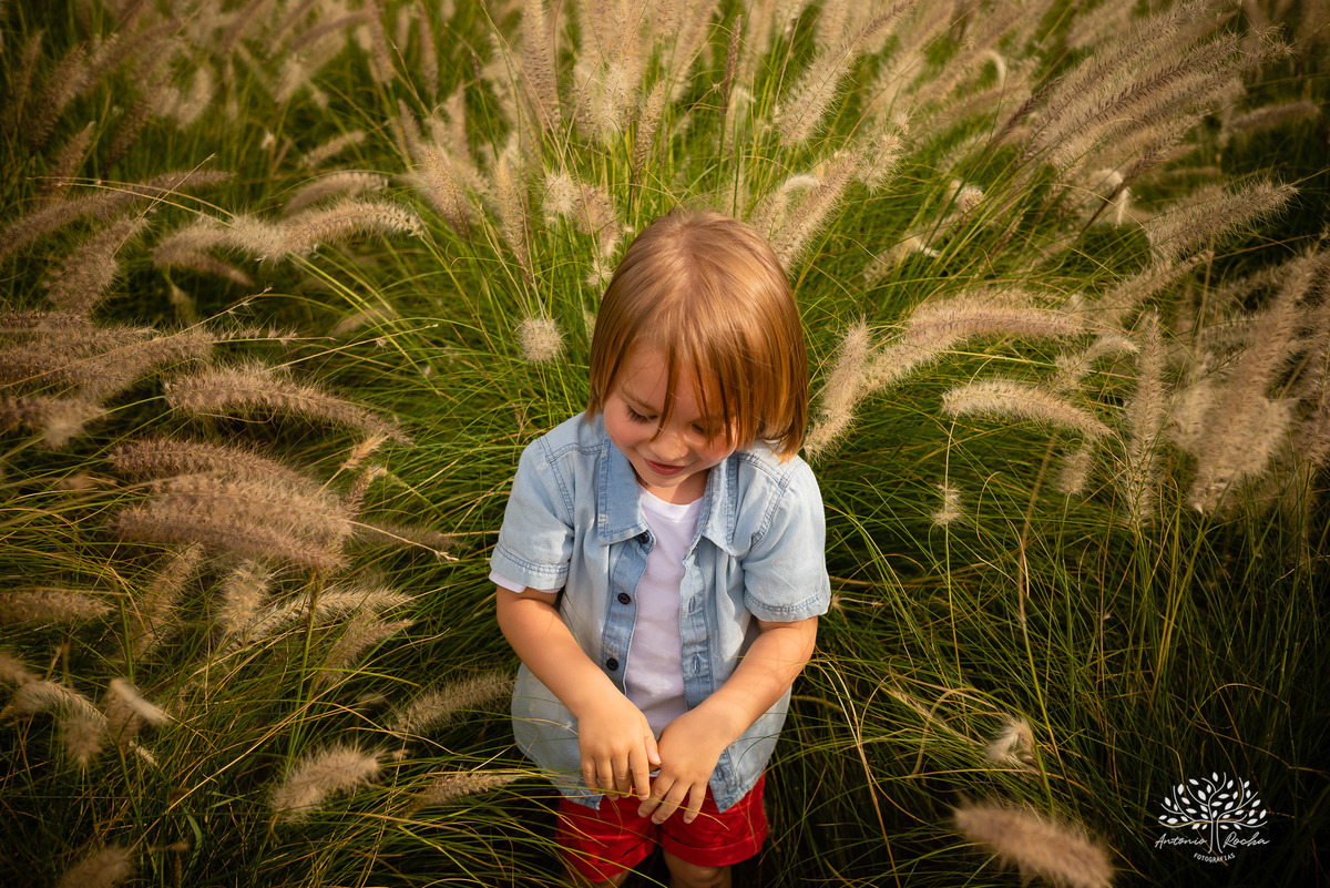 Lorenzo – Tatiane – Tiely – Parque Una – Tarde de Sol – Una – Infantil – Criança – Ensaio Infantil – Felicidade – Amor – Vida – Pelotas – Patinete – Trio – Dia Comum – Coisas Simples – Antonio Rocha Fotografias – Família Linda – Fotografia de Família