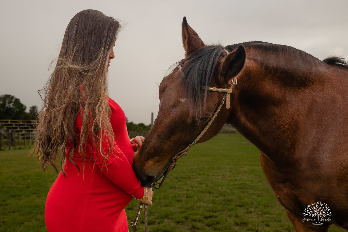 Caroline – Róger – Francisco – Morada do Sol – Tarde de Sol – Campo – Gestante – Grávida – Ensaio Gestante – Felicidade – Amor – Menino – Vida – Gaúcho – Pelotas – Campo – Caroline + Róger = Francisco – Antonio Rocha Fotografias – Família Linda – Cavalos 