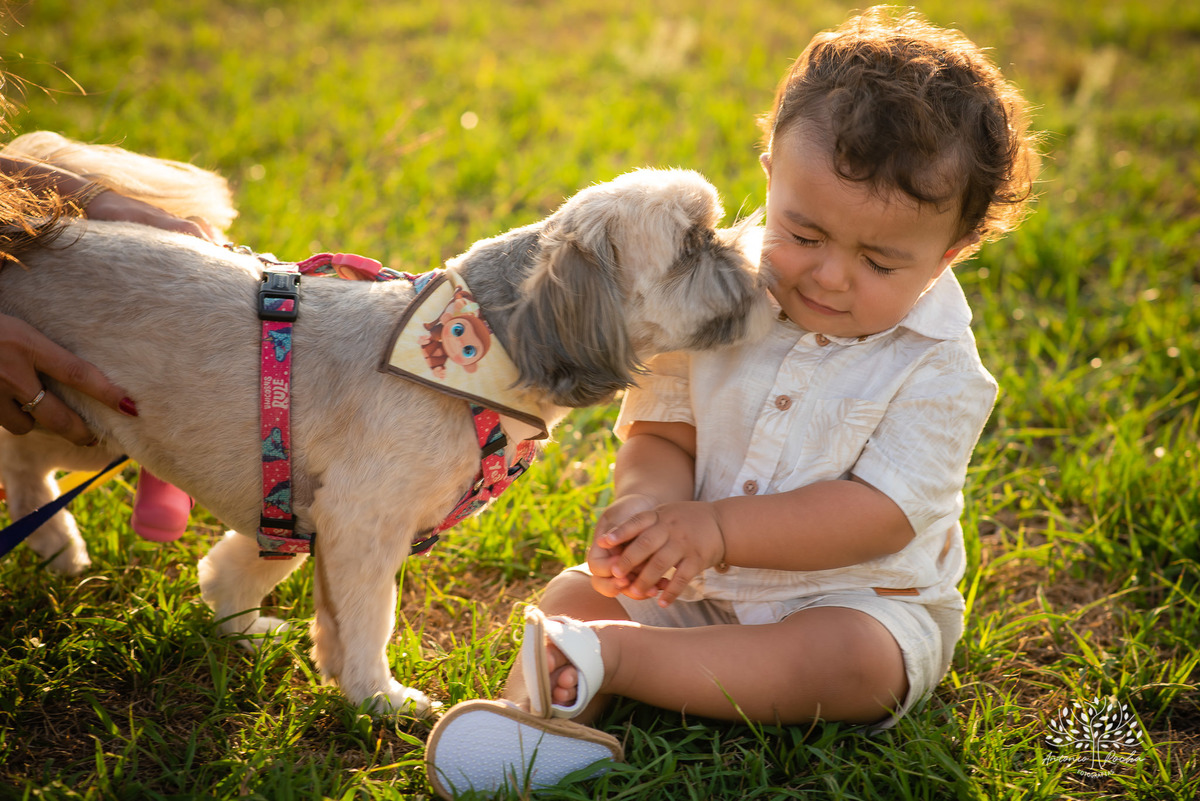 Valentim – Priscila + Ivan = Valentim – Alphaville – Tarde de Sol – Valentim Primeiro Aninho – Infantil – Criança – Ensaio Infantil – Felicidade – Amor – Vida – Pelotas – Trio– Antonio Rocha Fotografias – Família Linda – Fotografia de Família – Pet – Vovó