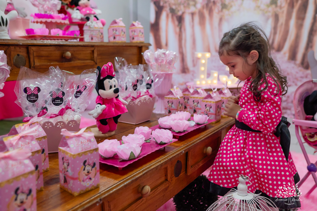 Lara – Ariane e Fábio = Lara – Big Fest – Minie – Lara 3 Anos – Infantil – Criança – Festa Infantil – Felicidade – Amor – Vida – Pelotas – Antonio Rocha Fotografias – Família Linda – Fotografia de Família – 3 Anos – Sorrisos – Carinho – Crescer – Simpatia