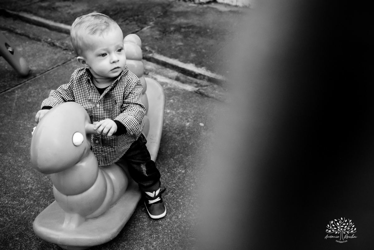 Arthur – 1 ano - Festa Infantil - Festa de Criança - Fotografia de Família – Fazendinha –Hortinha do Arthur - Antonio Rocha Fotografias - Satolep - Pelotas