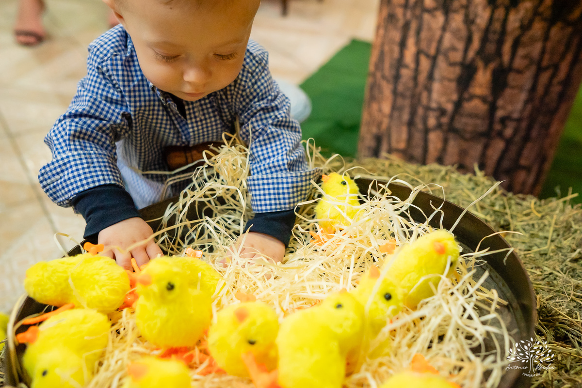 Arthur – 1 ano - Festa Infantil - Festa de Criança - Fotografia de Família – Fazendinha –Hortinha do Arthur - Antonio Rocha Fotografias - Satolep - Pelotas