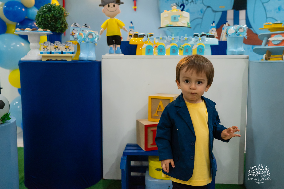 Pedro – 2 anos - Festa Infantil - Festa de Criança - Fotografia de Família – Camila - Menino Maluquinho – Antonio Rocha Fotografias - Satolep - Pelotas