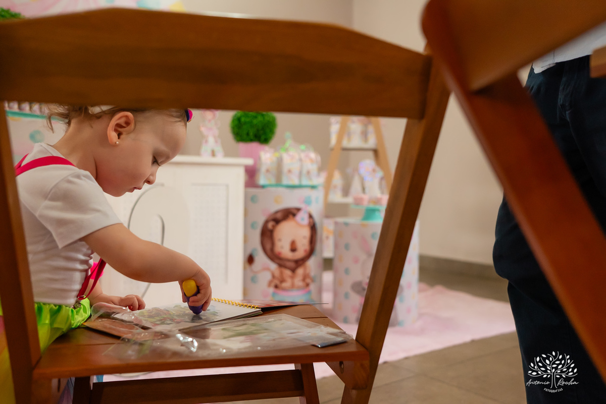 Elisa - Gabriela - 2 anos - Festa Infantil - Luis - Camila - Festa de Criança - Fotografia de Família - Circo - Palhacinha - Mágica - Lúdico - Condomínio Rua Brasil -  salão de festas - decoração - Temática de Circo - Pelotas - Antonio Rocha