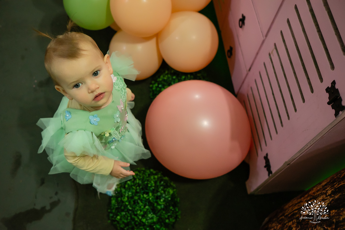 Zoe – 1 ano – Primeiro Aninho – Desirée - Gustavo - Festa Infantil - Festa de Criança - Fotografia de Família – Mundo das Fadas - Fadinha - Lúdico – Toq Festas - Salão de festas - decoração - Pelotas - Antonio Rocha