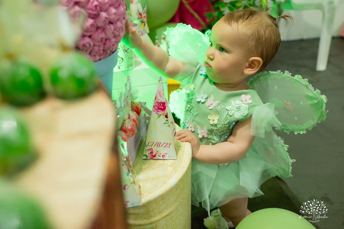 Zoe – 1 ano – Primeiro Aninho – Desirée - Gustavo - Festa Infantil - Festa de Criança - Fotografia de Família – Mundo das Fadas - Fadinha - Lúdico – Toq Festas - Salão de festas - decoração - Pelotas - Antonio Rocha