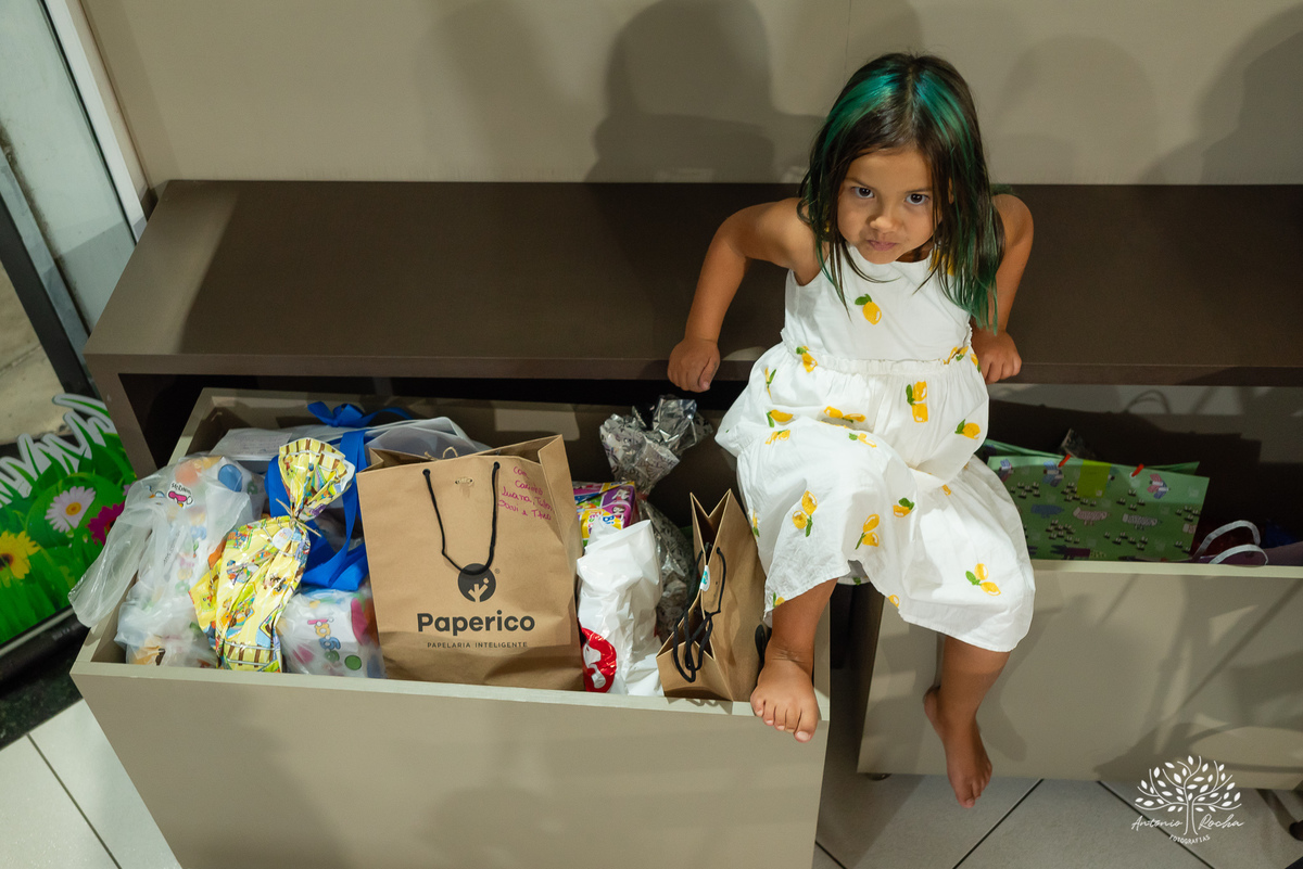 Alice – 5 anos - Festa Infantil – Festa de Criança – Festa de Família – fotografia – decoração de porquinho da índia – tio guigui – Fotos de Aniversário – baladinha infantil – chopp 35 - Antonio Rocha Fotografias - Pelotas