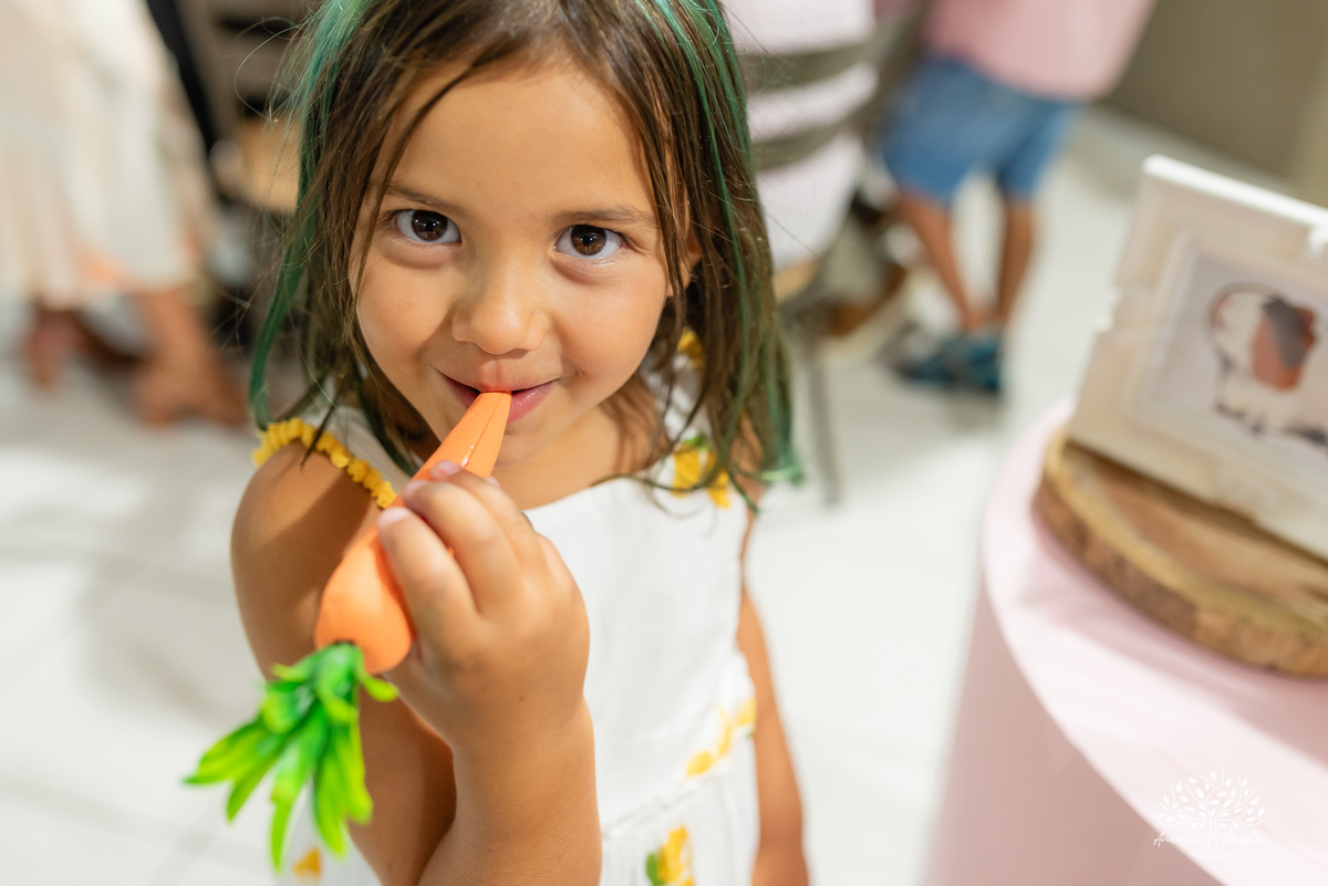 Alice – 5 anos - Festa Infantil – Festa de Criança – Festa de Família – fotografia – decoração de porquinho da índia – tio guigui – Fotos de Aniversário – baladinha infantil – chopp 35 - Antonio Rocha Fotografias - Pelotas