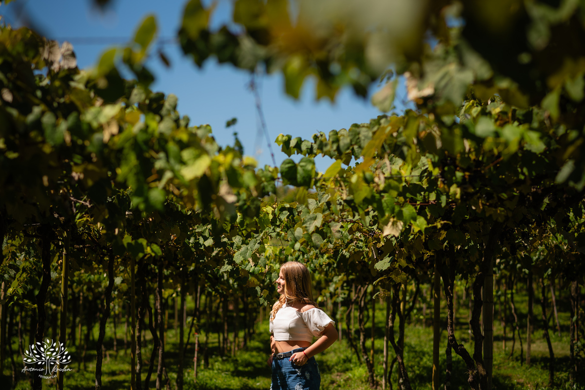ensaio pré-festa - debutante - Helena Fischer - vinícola - Vinhos Nardello - Enilda - Claudio - família - piquenique - festa - carinho - confiança - momento especial - cliques – gratidão – Antonio Rocha Fotografias - Pelotas