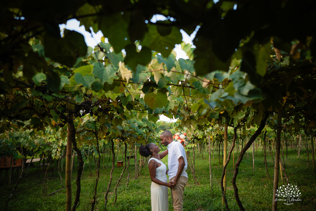 Marcia- Cristiano- amor- ensaio-pré-casamento- conexão- tímidos- espontâneos- genuínos- essência- autêntica- Vinícola-Nardello- vinhedos- paisagem-verde- romance- altar- diversão-memórias- grande-dia- lembranças- fotos- Antonio-Rocha-Fotografias-Pelotas