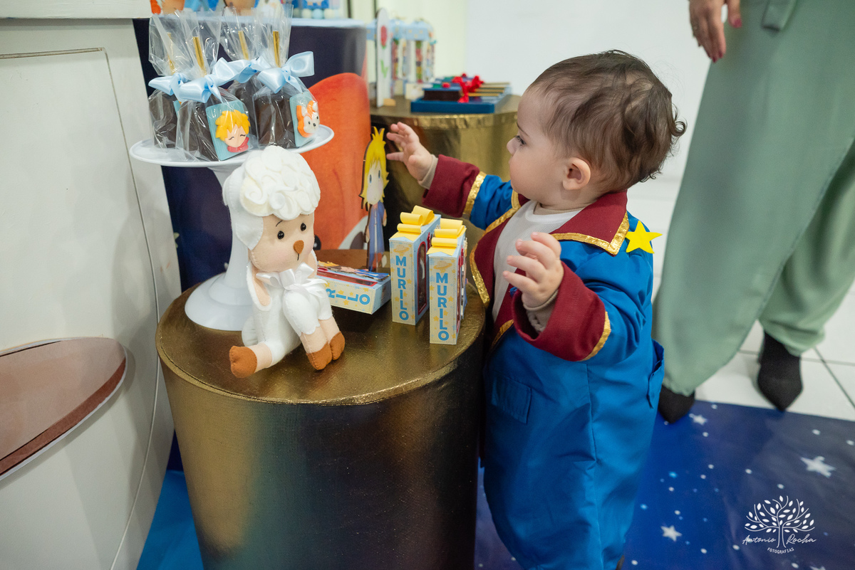 1 ano-Murilo-irmãozinho-Luiza-filho mais novo-pequeno príncipe-fofura-família-amigos-Lulu - alegria - carinho - salão - brinquedos - tobogã - mamãe – Parabéns- fraternal-amor-cliques-Antonio Rocha Fotografias-Pelotas