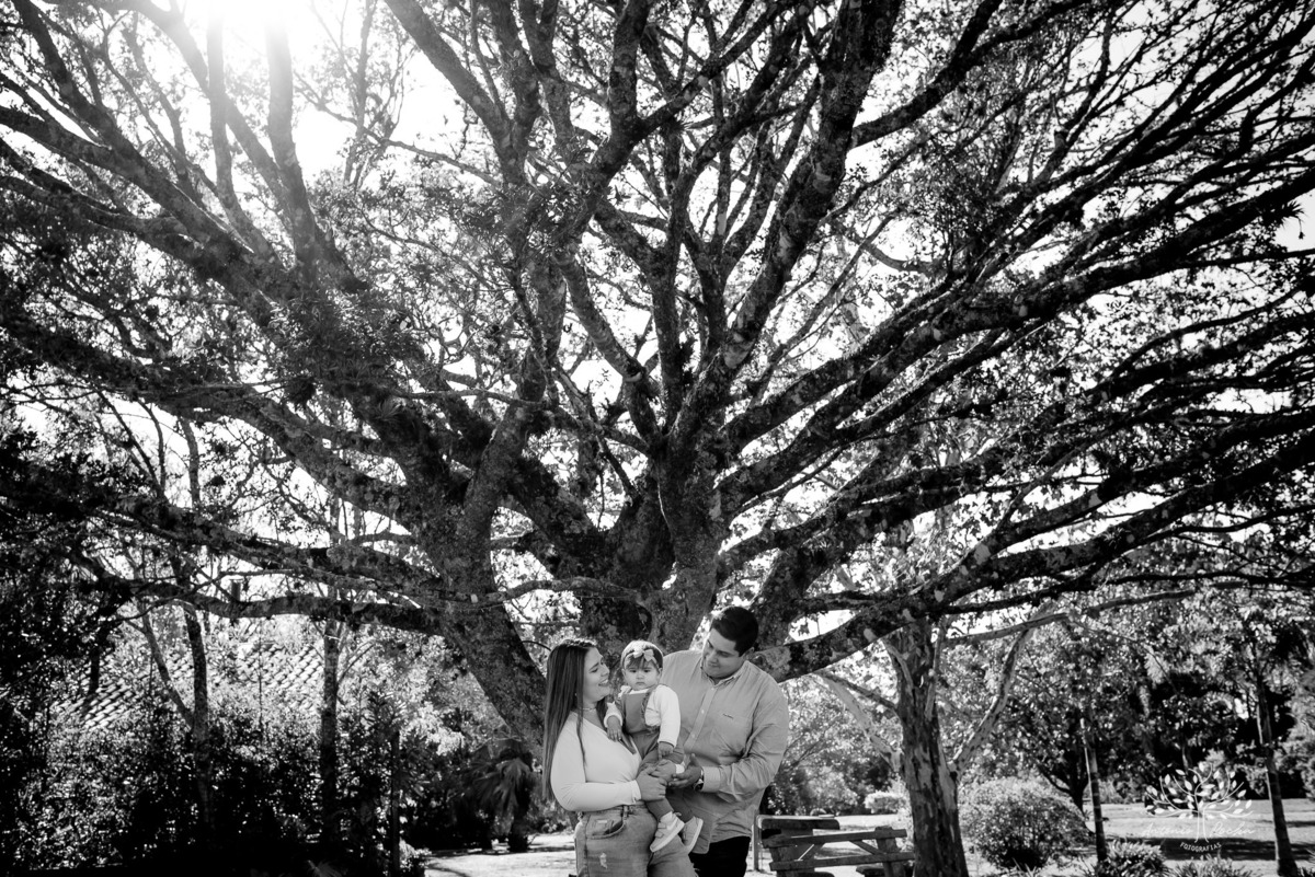 ensaio de um aninho-ensaio infantil - ensaio pré-festa - Sítio Águas Claras - Monte Bonito - fotografia de família -ensaio com pais e filhos - ensaio de gestação - Santiago - Laura - irmãos em ensaio fotográfico - Antônio Rocha Fotografias - pelotas