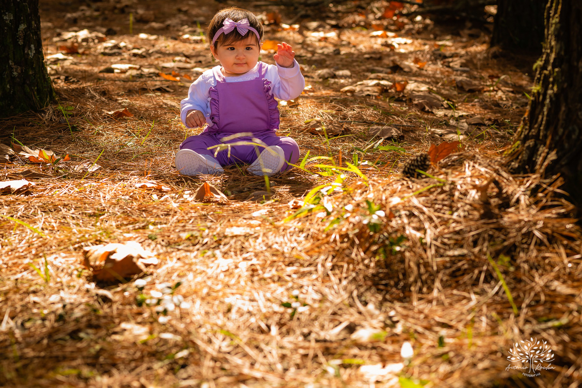 ensaio de um aninho-ensaio infantil - ensaio pré-festa - Sítio Águas Claras - Monte Bonito - fotografia de família -ensaio com pais e filhos - ensaio de gestação - Santiago - Laura - irmãos em ensaio fotográfico - Antônio Rocha Fotografias - pelotas