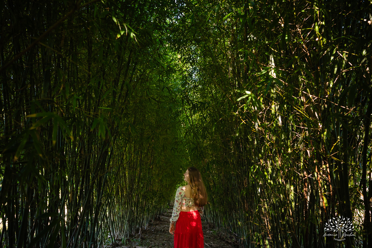 Ensaio de 15 anos - Parque Una - Garagem de Arte - Vinícola Nardello - Aniversário de 15 anos - Antonio Rocha Fotografias- Fotografia profissional - Sessão de fotos - Ensaio fotográfico - Fotografia de família - Ensaio ao ar livre - Pelotas