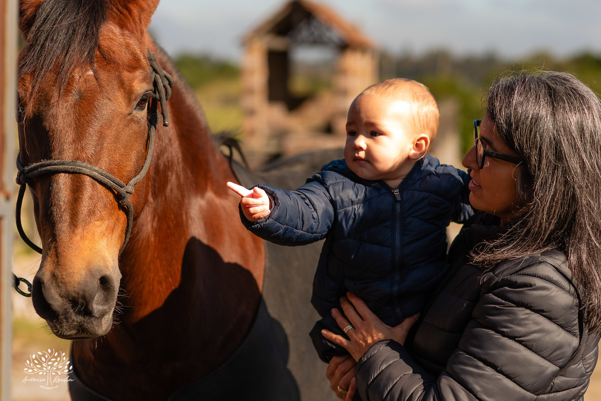 ensaio de primeiro aninho-fotografia de família-gestação-ensaio de gestante-pré-festa - Francisco-Carol-Roger-vovó Sandra-dinda Bianca-dindo Lucas-fotografia infantil-sorriso—contagiante-confiança-fotografia profissional-Antonio Rocha Fotografias-Pelotas