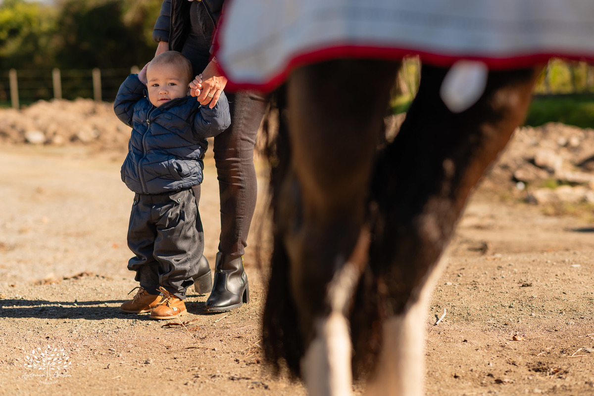 ensaio de primeiro aninho-fotografia de família-gestação-ensaio de gestante-pré-festa - Francisco-Carol-Roger-vovó Sandra-dinda Bianca-dindo Lucas-fotografia infantil-sorriso—contagiante-confiança-fotografia profissional-Antonio Rocha Fotografias-Pelotas