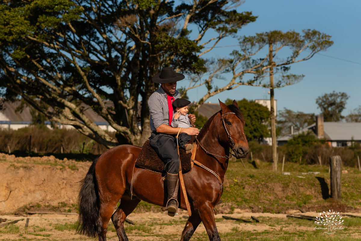 ensaio de primeiro aninho-fotografia de família-gestação-ensaio de gestante-pré-festa - Francisco-Carol-Roger-vovó Sandra-dinda Bianca-dindo Lucas-fotografia infantil-sorriso—contagiante-confiança-fotografia profissional-Antonio Rocha Fotografias-Pelotas