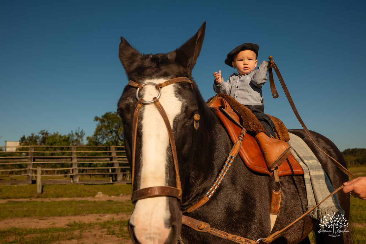 ensaio de primeiro aninho-fotografia de família-gestação-ensaio de gestante-pré-festa - Francisco-Carol-Roger-vovó Sandra-dinda Bianca-dindo Lucas-fotografia infantil-sorriso—contagiante-confiança-fotografia profissional-Antonio Rocha Fotografias-Pelotas