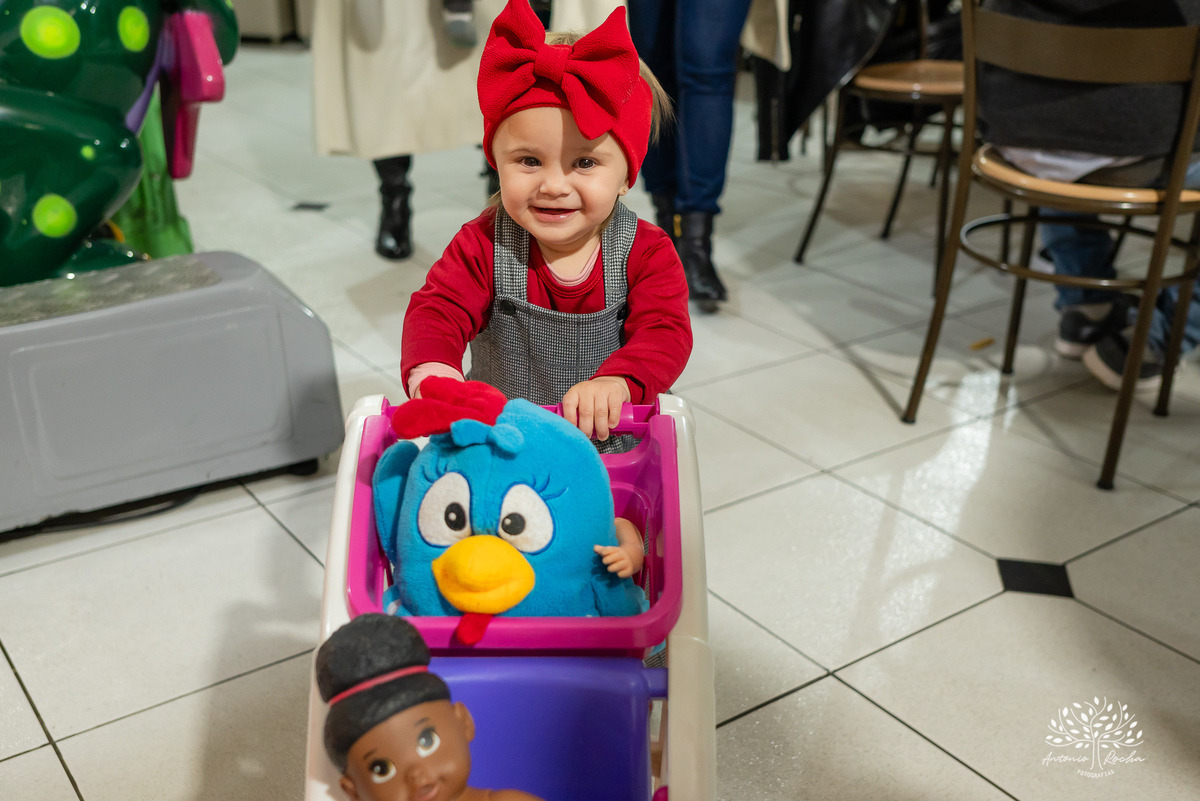 aniversário infantil - primeiro aninho - festa de 1 ano - tema bailarina - decoração infantil - fotografia profissional – circo - fotógrafos de festas - festa de aniversário - fotografia de eventos - Antonio Rocha Fotografias - Pelotas