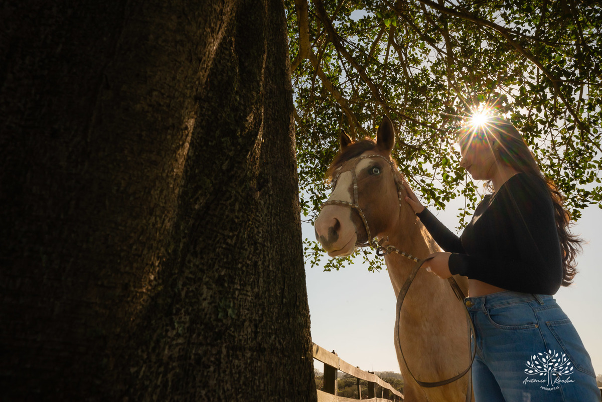 ensaio externo de 15 anos - Bruna - conexão com a natureza - fotos com égua - pré-festa de debutante - fotografia ao ar livre - céu azul  - celebração de 15 anos - Antonio Rocha Fotografias - São Lourenço do Sul - Pelotas - Festa de 15 anos - Debutante