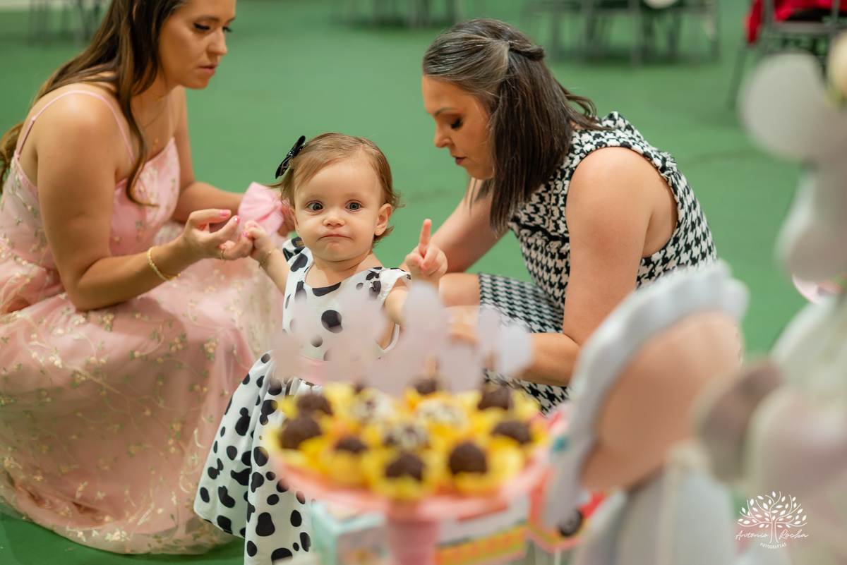 fotografia infantil - celebração em família - fotografia de aniversário - detalhes personalizados - Pelotas - Goiás - festa temática - Antonio Rocha Fotografias - festa infantil