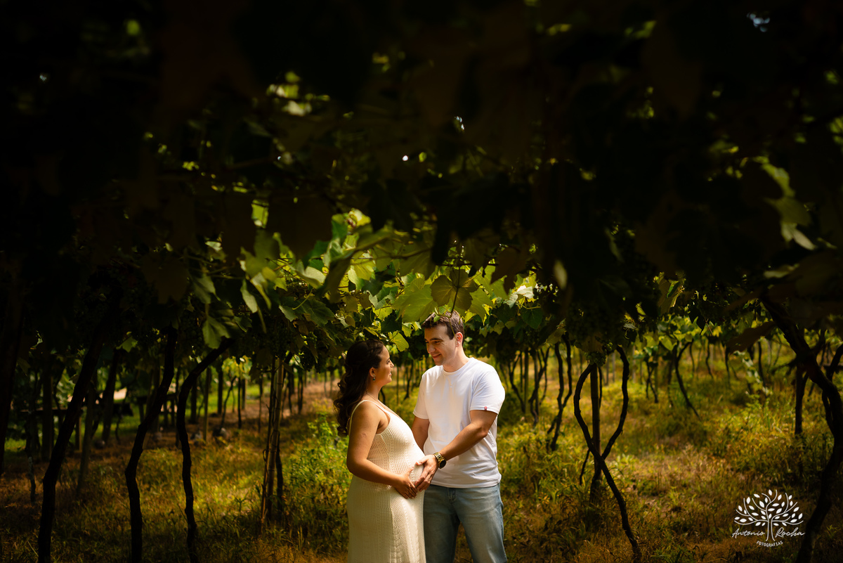 ensaio de gestante - Maiara e Filipe - espera do Théo - vinícola Nardello - manhã ensolarada - fotos de gestante - fotografia de família - registro de momentos - pais de primeira viagem - ensaio gestante ao ar livre - Antonio Rocha Fotografias - Pelotas