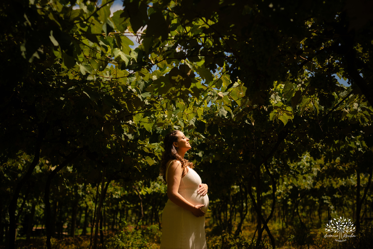 ensaio de gestante - Maiara e Filipe - espera do Théo - vinícola Nardello - manhã ensolarada - fotos de gestante - fotografia de família - registro de momentos - pais de primeira viagem - ensaio gestante ao ar livre - Antonio Rocha Fotografias - Pelotas