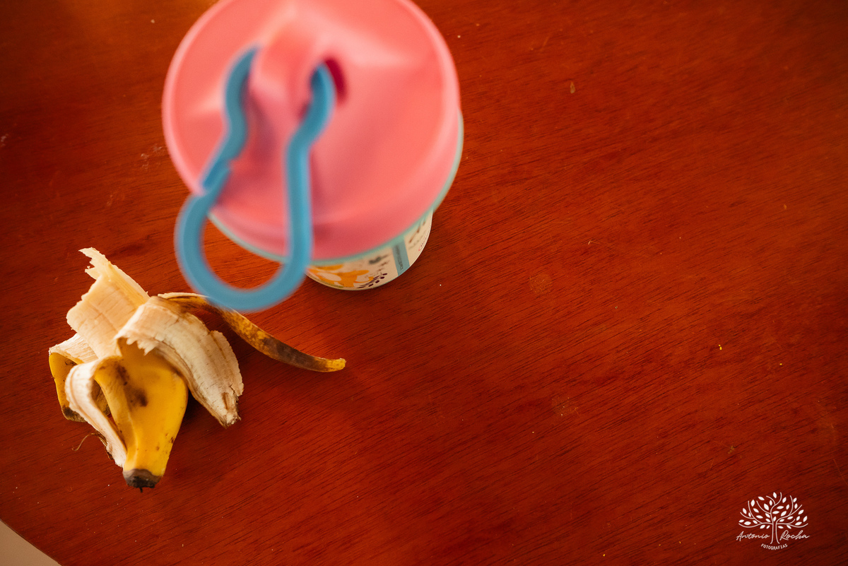 Laura - primeiro aninho - bebê arco-íris - aniversário infantil - festa em casa - Quinta Dom Manuel - família - alegria - emoção - churrasco - amigos - diversão - piscina - animação infantil - fotografia de aniversário - Antonio Rocha Fotografias -Pelotas