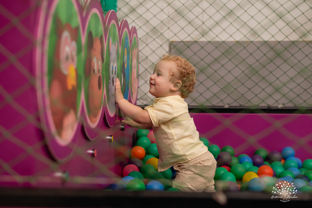 festa infantil - aniversário - fotografia de família - dinossauros - diversão - irmãos - celebração - alegria - Prof. Tiago - música ao vivo - decoração temática - fotografia profissional - lembranças inesquecíveis - Antonio Rocha fotografias - Pelotas