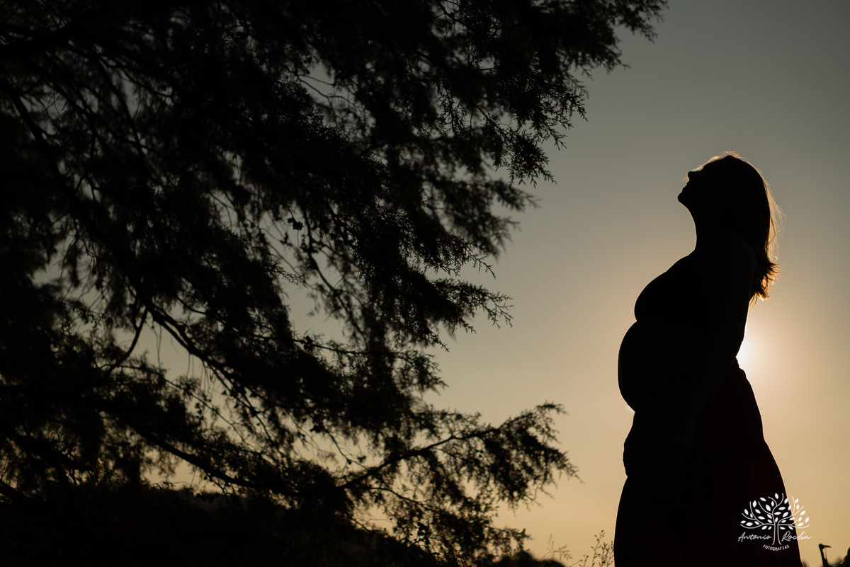 ensaio gestante - fotografia de família - espera do Caio - ensaio ao entardecer - vinícola Nardello - Antonio Rocha Fotografias – Pelotas -  fotografia com emoção - Bento e Caio - gestação cheia de amor - ensaio fotográfico – ensaio externo – livro fotos