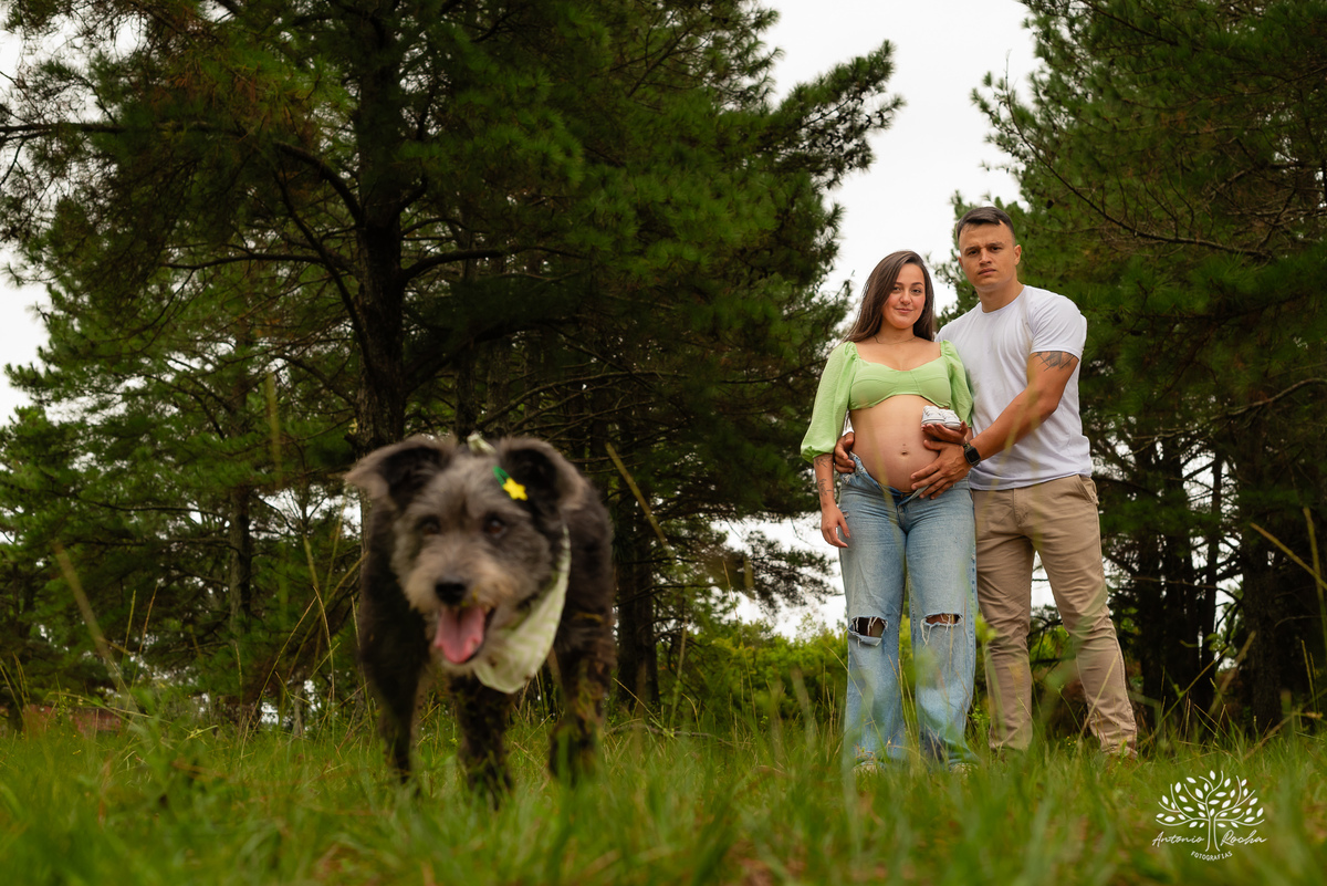 fotografia - ensaio gestante - amor - memórias – ensaio externo - família - expectativa – chegada bebê - fotógrafo profissional - Antonio Rocha Fotografias - lembranças - fotos criativas - pet - chegada do bebê - fotografia de família - Pelotas