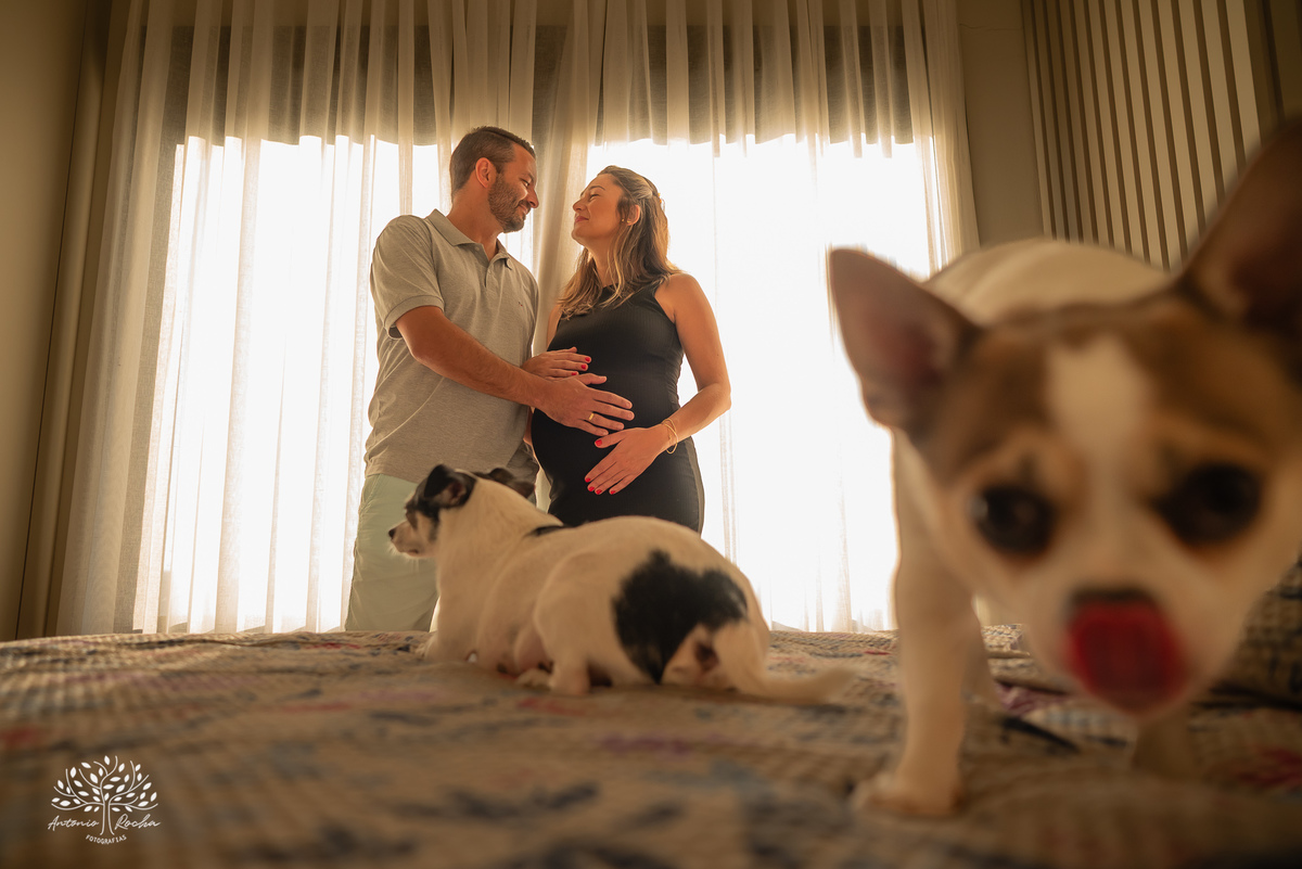 ensaio gestante - fotografia de gestante - espera do bebê - ensaio em casa - fotografia afetiva - fotógrafo de família - ensaio lifestyle - amor em família - ensaio com pets - gestante em casa - ensaio intimista - Pelotas - Antonio Rocha Fotografias