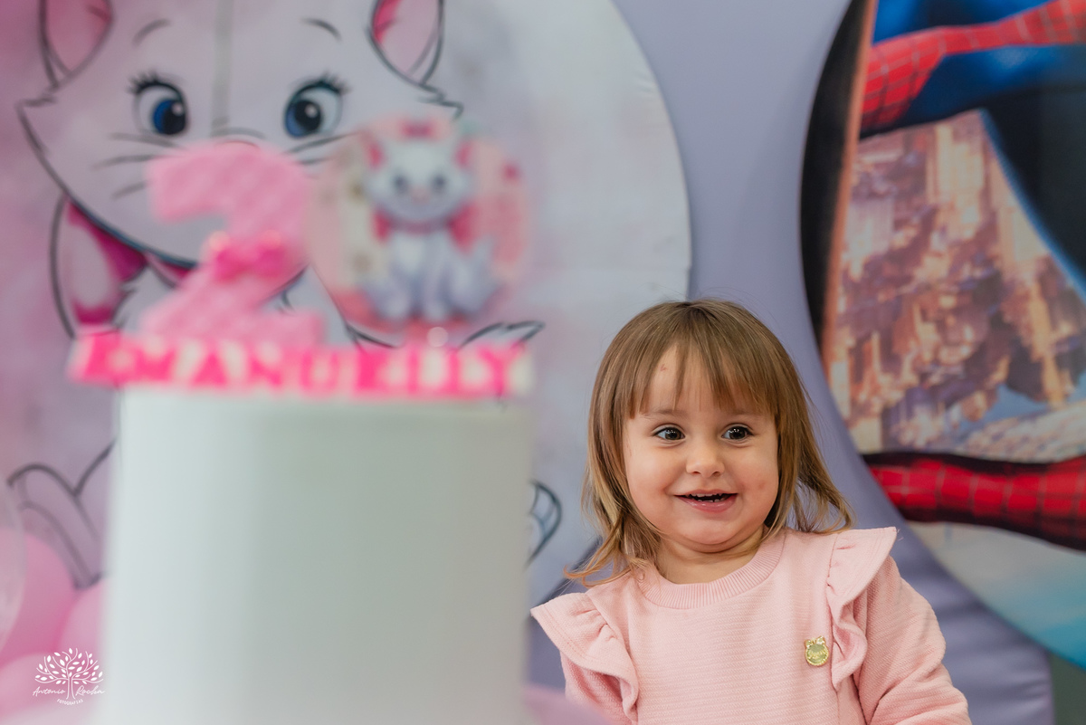 aniversário infantil - festa infantil - fotografia de aniversário - fotografia infantil - dose dupla de aniversário - decoração gatinha marie - decoração homem aranha - salão loly pop - fotografia espontânea - antonio rocha fotografias - renata dalbann