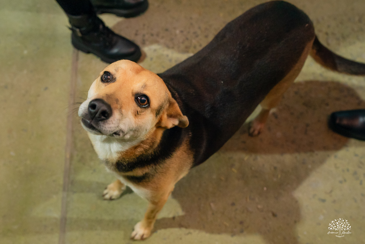 40 anos - festa retrô - discoteca anos 80 - fotografia de eventos e aniversários - fotógrafo em Pelotas - festa temática - pista de dança - luzes coloridas - bola espelhada - música clássica - nostalgia - registros fotográficos - Antonio Rocha Fotografias